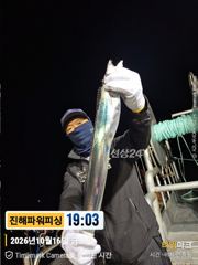 [진해] [갈치/텐빈]터졌다~올시즌최고조황&싸이즈까지[화요일부터]예약가능