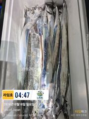 궂은날씨 홍도권 나들이~! ㅜ.ㅜ , 날씨 좋은날 다시 보자잉~~! 사진
