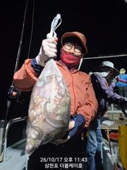 [먹물조황]삼천포문어,주꾸미조황!
