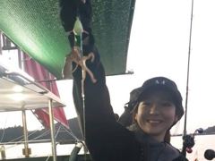 쭈꾸미 밭입니다