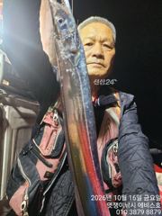 은빛 돼지 갈지 3지 4지 5지까지 화요일부터 가능