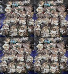 10월17일 사이즈좋은 갑오징어 망태기 조황 입니다~~!!