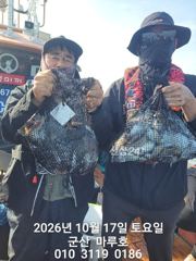 ★★ 군산 대일피싱 마루호 갑오징어 조황입니다. ~! 내일 3자리 있습니다. ~!