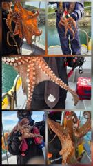 삼천포 팔포피싱호 주중 주말예약 미리미리 예약받습니다