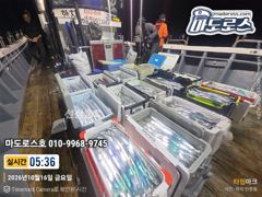 오늘출항확정입니다!!!