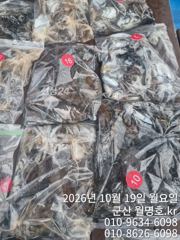 19일 오후반