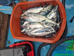 네이버 밴드글 (2026-10-19) 사진