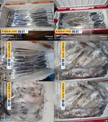 14석 통영보성3호 갈치 씨알좋고 만쿨햇습니다~~한치도 좀 했습니다~~채비 챙겨오세요~~오늘 자리 여유 많아요) 사진