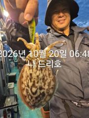 20일, 군산 갑돌이 ~연일 맹타~~오늘도 좋아요~실시간~군산낚시프라자 나드리호 사진