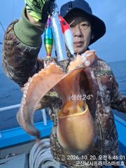 20일, 군산 문어,문어,문어~문어가 좋다~싸이즈 굿~~실시간~군산낚시프라자 스마트호