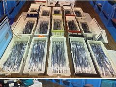 [통영] 통영스카이호..."" 먼바다 대갈치 "초" 대~박 전원 만쿨""…