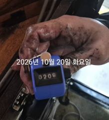 [진해] 팁런무늬!!오늘도 고고씽!!예약가능