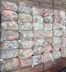 10월20일-왕문어 초대박 조황이 계속해서 이어지고 있습니다