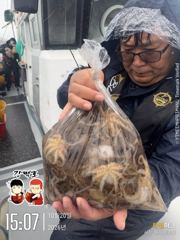 비가 와도 잡았습니다! 삼천포 쭈꾸미 조황 사진