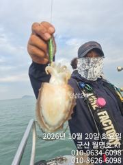20일 쭈갑 오전반조황 사진