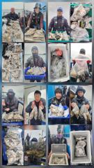 10월20일 오천항 팀오디세이호 쭈갑~^^