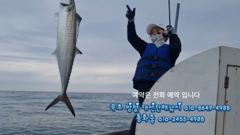 떼고기 구경하세요 , 속초 양양 대선단배낚시 사진