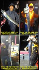 20일 수중전 텐빈 조황 시즌 대박입니다. 3지4지5지 쉬지않고 퍽퍽퍽 사진