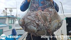 핫한 녹동문어 내일 목요일 출조합니다 사진