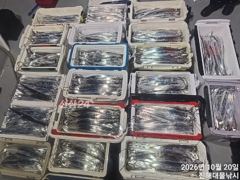 우와~,내만칼치 3지4지까지용가리어마어마초대박~목,금,일욜예약중 사진