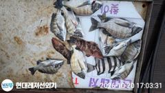[통영] 통영현대레저)감성돔흘림 마릿수외뺀찌 붉바리조황