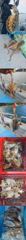 [진해] 무늬팁런씨알에 마리수로 최고25수~ 주말 쭈&갑출조