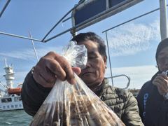 [사천] 삼천포 쭈꾸미 조황 !! 장원143수 금토일 자리여유 사진