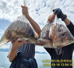 [진해] 내만 돌문어 씨알 끝내줍니다 퍽퍽퍽 초보도 가능 오늘 예약가능 사진