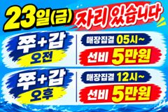 <레인보우호 >갑오징어 실시간 조황(22일)