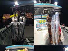 진해내만갈치~종일입질~전원~쿨러 꽉꽉~채우고~예약가능