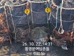 (문어)남녀노소 모두 K대물 손맛 몇일째 쭉~락피싱(23일 예약) 사진