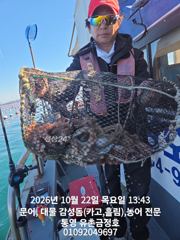 통영 금정호 문어선상 대박조황 다시 시작합니다 내일과 주말 자리…