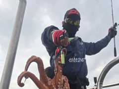 [진해] 진해문어낚시] 굵직굵직 손맛 끝내주는 돌문어 찐한 손맛보러 계속… 사진