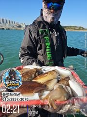 [사천] 10/22 블랙드래곤 갑오징어 꾸준히 ^^ 사진