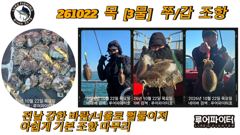 10/22 목 [3물] 쭈꾸미/갑오징어 조항 입니다. 사진