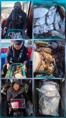 10월 22일 목요일 (3물) 갑오징어 출조 조황 사진
