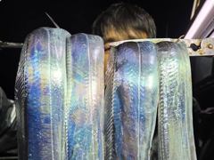 10.22 [경주] 누구나~삼치및방어는 만쿨입니다 야간 무늬오징어 예약중입니다 사진
