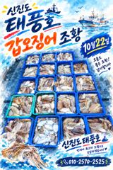 10/22 태풍호 갑오징어 조황