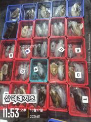 [팁런]k,k,무시급들 ,(토요일,출항 )