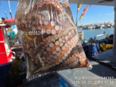 오늘은 돌문어! 낼부터 다시 쭈구미 갑이 달립니다!오이소~