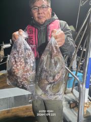 삼천포 문어, 주꾸미