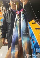 [진해] 오늘내만갈치예약가능합니다(금토일내만)