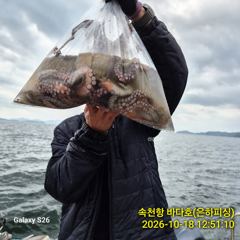[진해] 내만 문어 야간 낚시 키로급 버글버글 오늘 무조건 출항 황제 낚… 사진