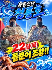 <고흥녹동>청룡호 22일 돌문어조황!!