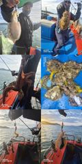 [사천] 23일,쭈꾸,갑돌,조황,삼포김선장,삼천포