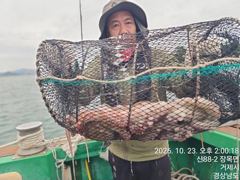 [진해] 23일세진호/돌문어오늘도대박kg.마릿수많이~일.월.가능~