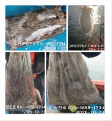 광진호,왕쭈 장원122수{선비,할인} 25일 자리여유 예약중