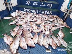 야미도후크스타호 10/23(금) 참돔 대박 조황
