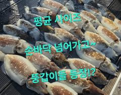 10월 23일 갑이 조황