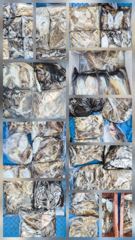 10월23일 홍원항 씨헌터호 쭈갑조황